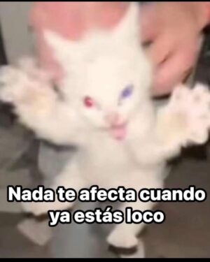 Gala Montes Instagram - Ansiedad crónica, tetas iconicas.