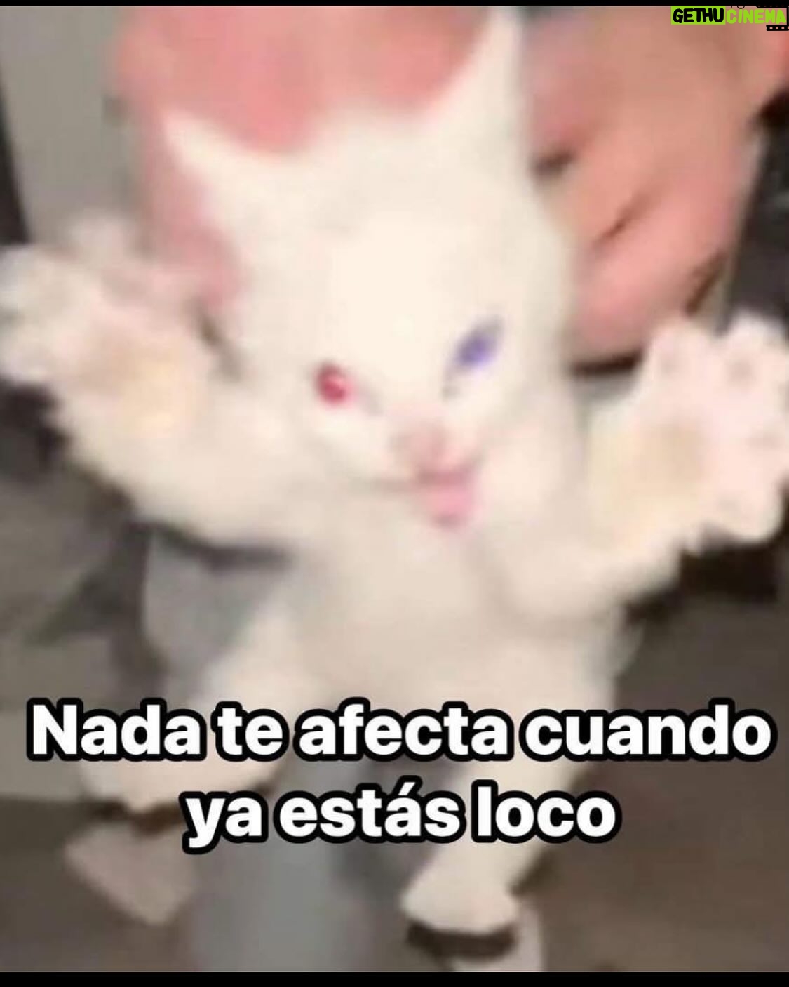 Gala Montes - 119.9K Likes - Ansiedad crónica, tetas iconicas.
