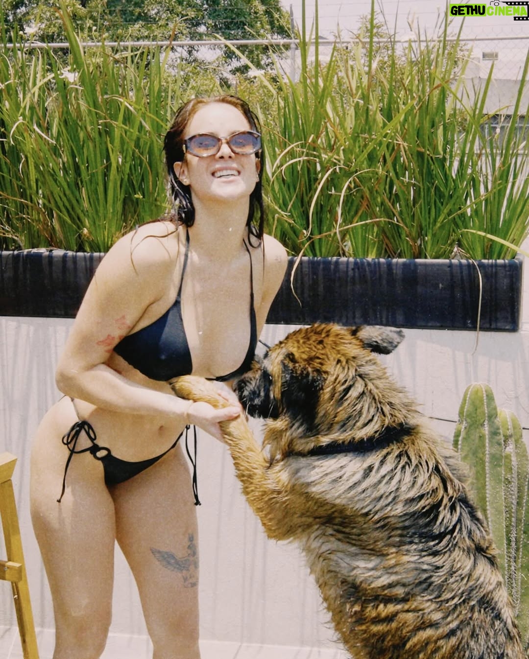 Gala Montes - 98.7K Likes - Acapulco en la azotea con más bonita que el mar de fondo. Solo faltas tu bebe 🌊🩷