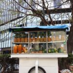 Gala Montes