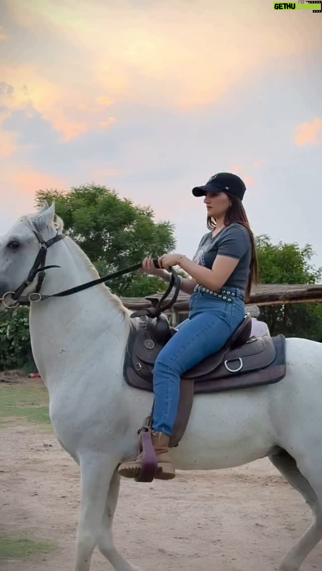 Gauri Virdi - 125.8K Likes - 🐎 

#horseofinsta #horserace #gaurivirdi