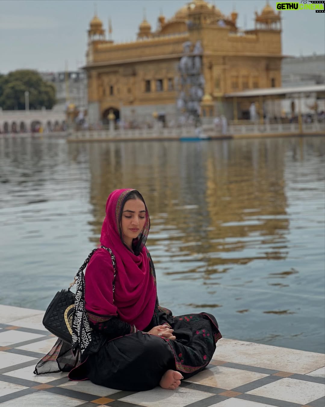 Gauri Virdi - 102.6K Likes - 🥹🫶🏼 
 #darbarsahib #goldentemple