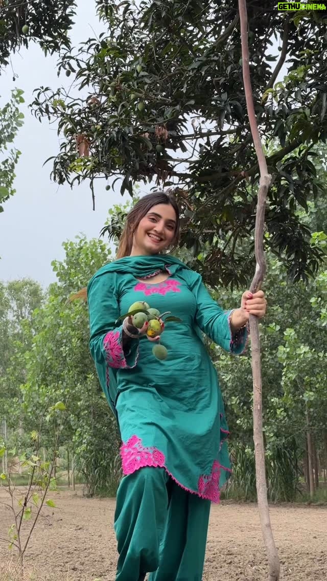 Gauri Virdi - 94.2K Likes - 🥭 🌳 

  #mangoseason