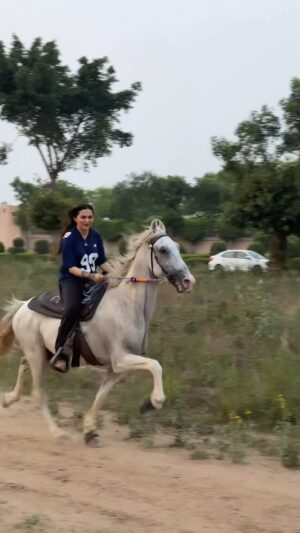 Gauri Virdi Instagram - 🐎 @manu_sekhon_baba_farm