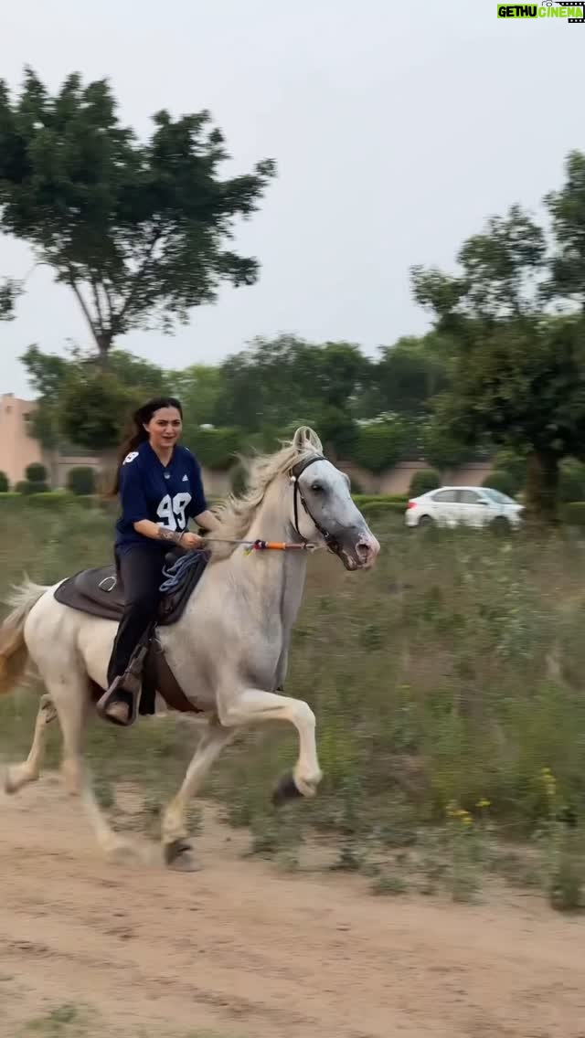 Gauri Virdi - 152K Likes - 🐎 @manu_sekhon_baba_farm