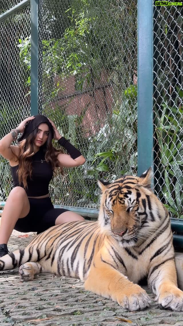 Gauri Virdi - 149.4K Likes - 💀 🇲🇾