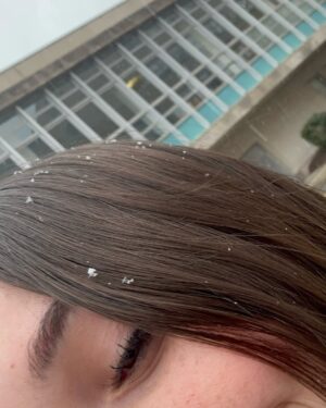 Giulia Benite Instagram - Quem aí já viu neve? ❄️☃️❄️
