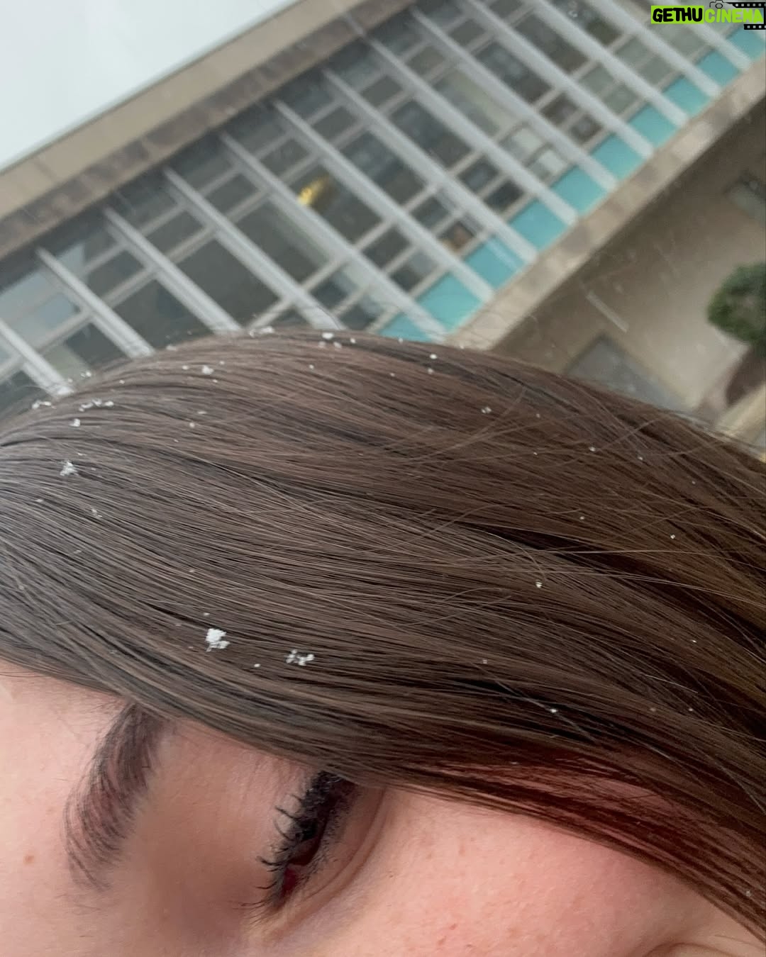 Giulia Benite - 148.6K Likes - Quem aí já viu neve? ❄️☃️❄️