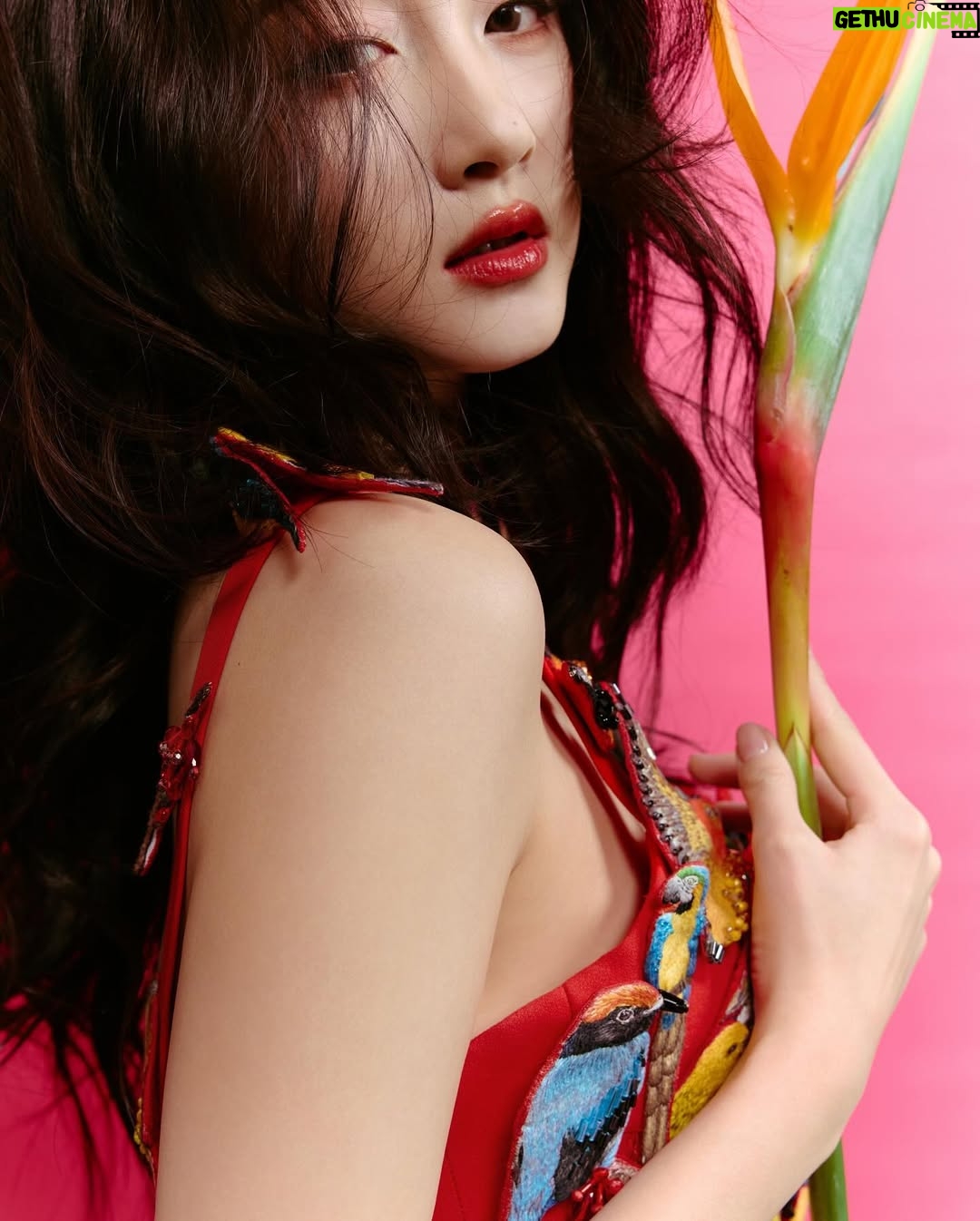 Guan Xiaotong - 24.9K Likes - 👀