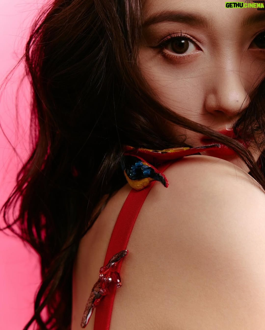 Guan Xiaotong - 24.9K Likes - 👀