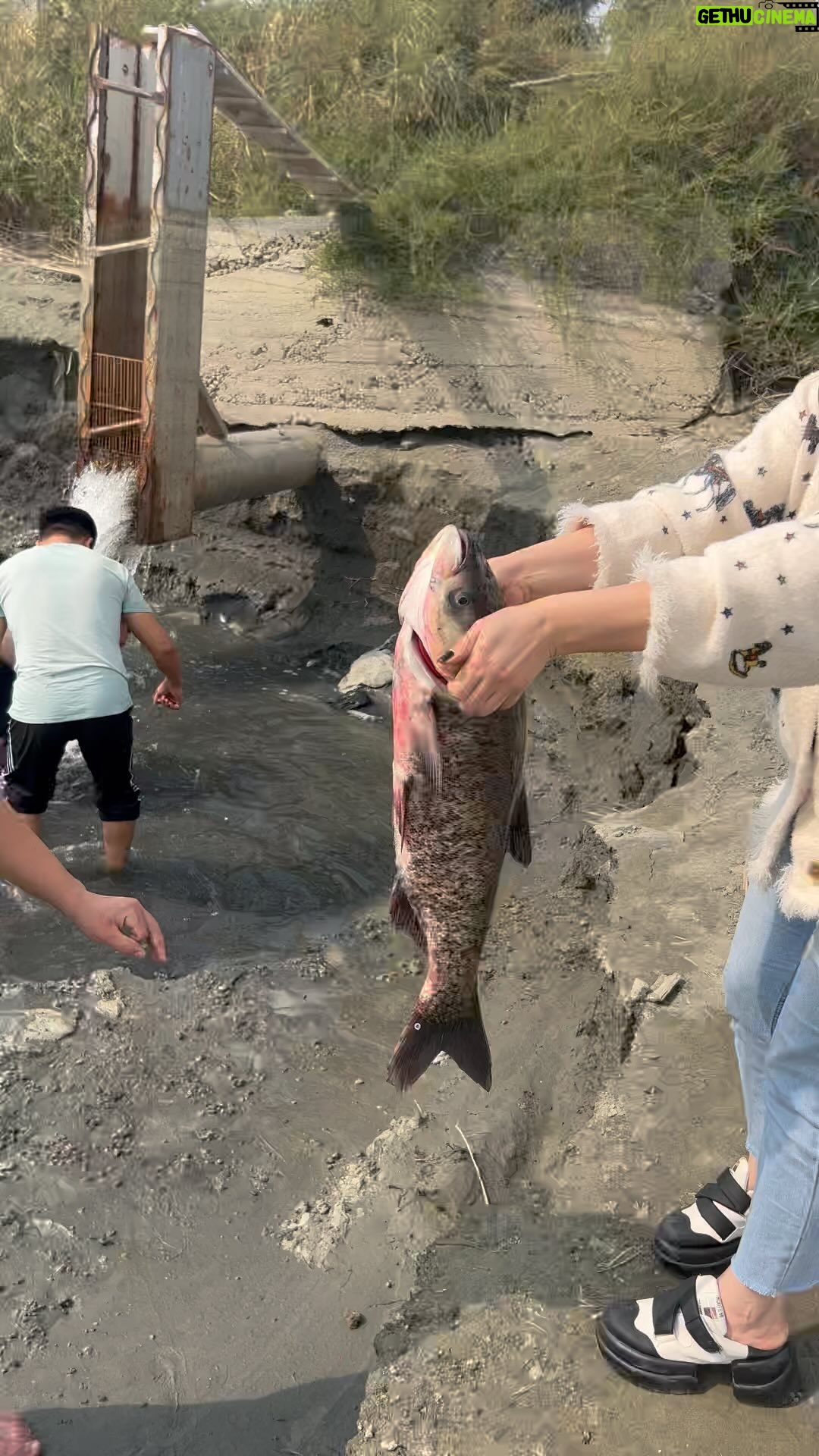 Gulinur - 26K Likes - Baliq ovi🐠🐟