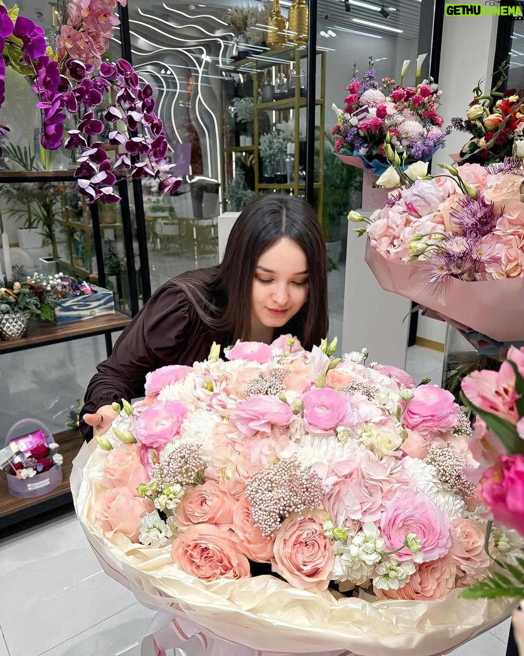 Gulinur - 18.2K Likes - 🌷🌼🌷🌼🌷🌼🌷🌼🌷🌼🌷🌼🌷🌼🌷🌼🌷🌼🌷🌼🌷🌼🌷🌼🌷🌼🌷🌼🌷🌼🌷🌼🌸🌷🌸🌷🌸🌷🌸🌷🌸🌷🌸🌷🌸🌷🌸