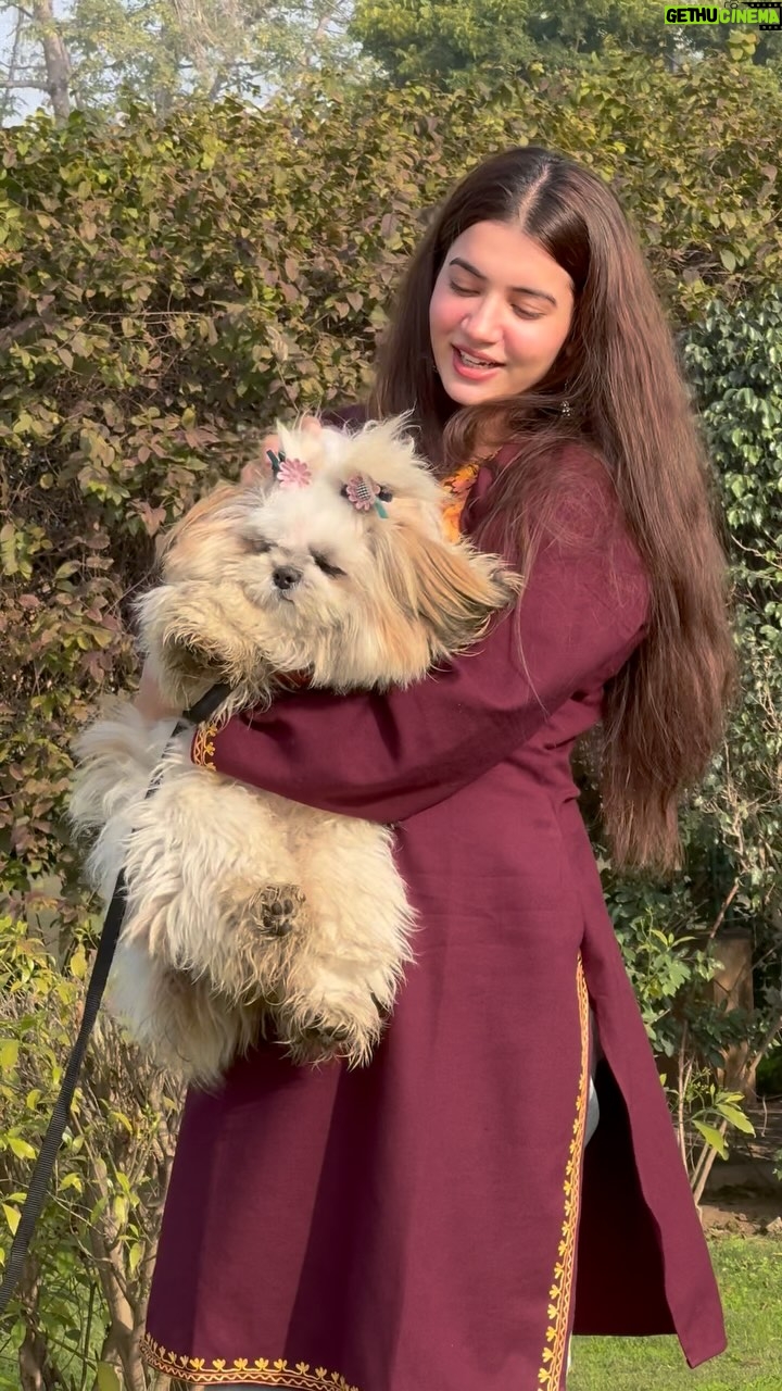 Gurnoor Kaur - 281.3K Likes - Nahi sambhla dil mere sambhale ♥️🐶