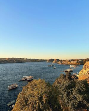 Hagar ElSarrag Instagram - مسكافيشو 🌞🫖🥜⛵️🌅🫏🌾🌳🎨