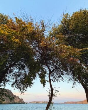 Hagar ElSarrag Instagram - مسكافيشو 🌞🫖🥜⛵️🌅🫏🌾🌳🎨