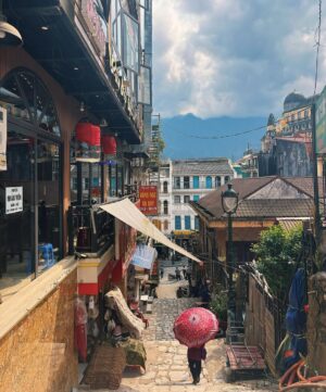 Hagar ElSarrag Instagram - 🇻🇳🪷🐉🍜