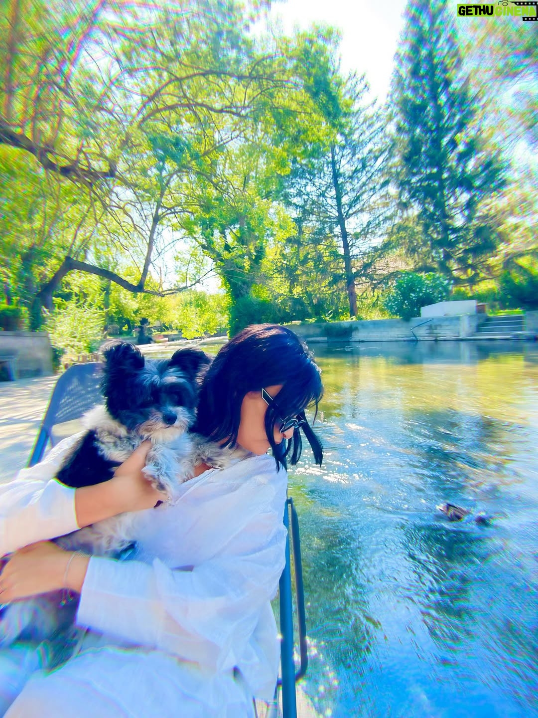Haifa Rahim - 3 Likes - In those quiet moments surrounded by good people, love , nature and in the company of animals you remember what truly matters: simplicity, connection, and the quiet magic of the present moment.