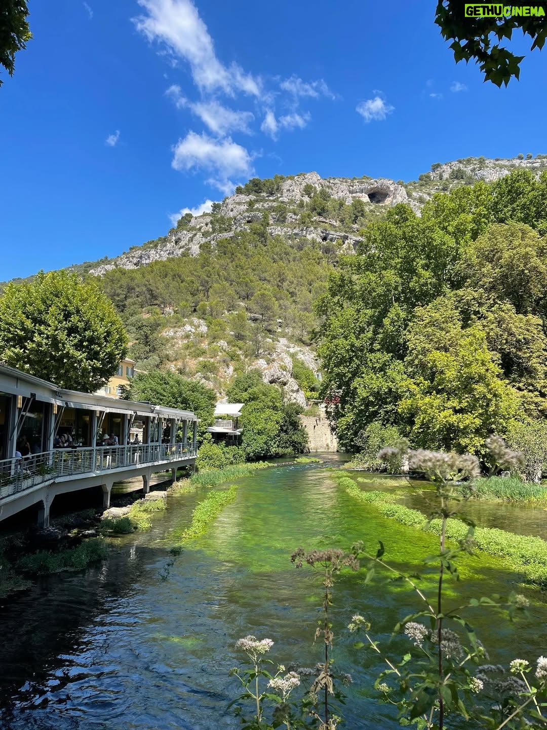 Haifa Rahim - 3 Likes - In those quiet moments surrounded by good people, love , nature and in the company of animals you remember what truly matters: simplicity, connection, and the quiet magic of the present moment.