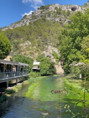 Haifa Rahim Instagram - In those quiet moments surrounded by good people, love , nature and in the company of animals you remember what truly matters: simplicity, connection, and the quiet magic of the present moment.
