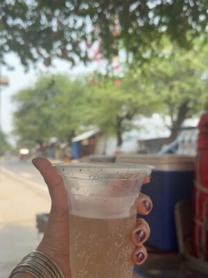 Harshita Singh Gaharwar Instagram - Vrindavan💗🦚🪷