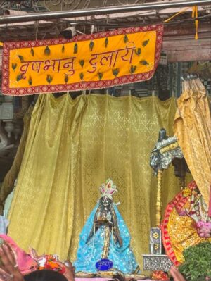 Harshita Singh Gaharwar Instagram - Vrindavan💗🦚🪷