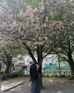 Haruka Nakagawa Instagram - 🇯🇵🌸