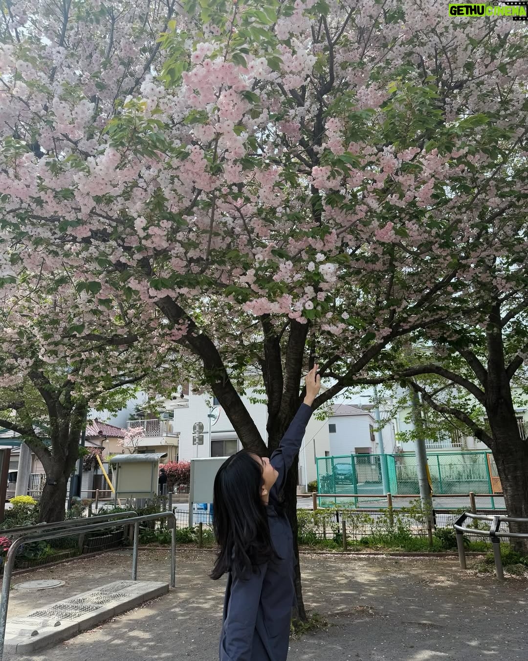 Haruka Nakagawa - 27.7K Likes - 🇯🇵🌸