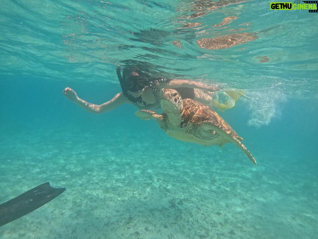 Haruka Nakagawa - 18.7K Likes - Lombok🏖️