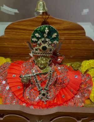 Himani Sharma Instagram - हाथी घोड़ा पालकी जय कन्हैया लाल की 🪈 🦚
..
..
..
..
#radha #radharani #janmashtami #harekṛiṣhna #selfportraits