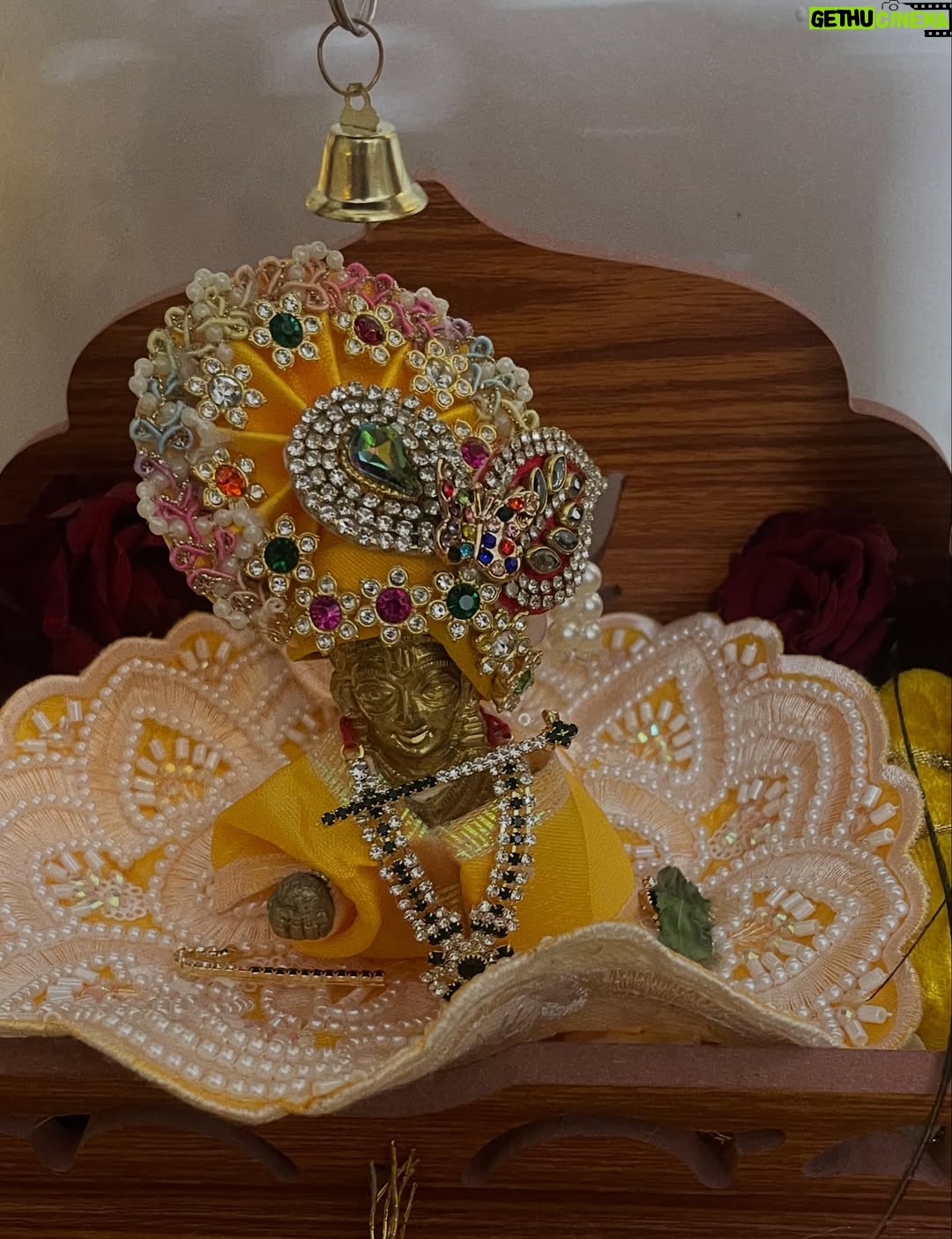 Himani Sharma - 2.9K Likes - हाथी घोड़ा पालकी जय कन्हैया लाल की 🪈 🦚 
..
..
..
..
#radha #radharani #janmashtami #harekṛiṣhna #selfportraits