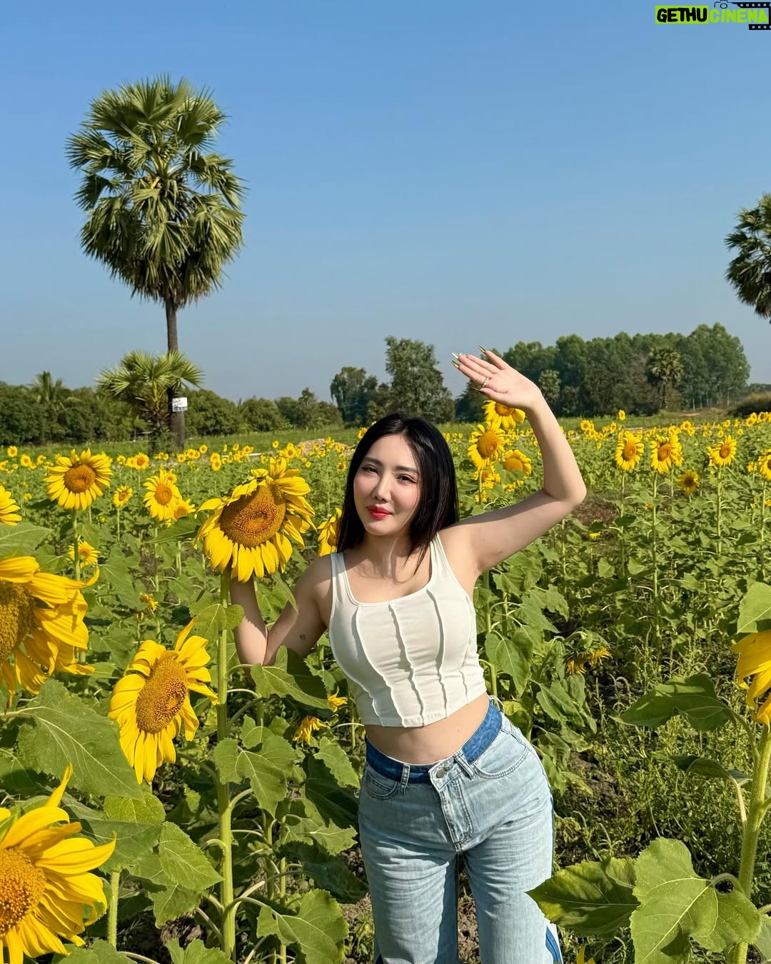 Hsu Eaint San - 3.3K Likes - မင်းရှိတဲ့အရပ်ကို မျက်နှာမူမယ့် နေကြာပန်းလေးပါ 🌻
