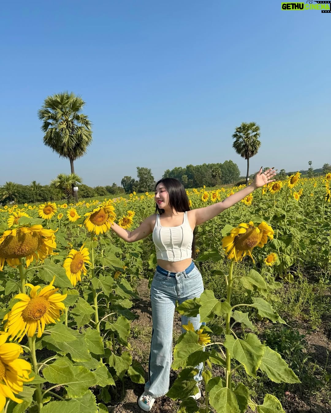 Hsu Eaint San - 3.3K Likes - မင်းရှိတဲ့အရပ်ကို မျက်နှာမူမယ့် နေကြာပန်းလေးပါ 🌻