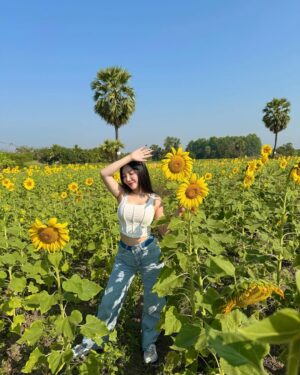 Hsu Eaint San Instagram - မင်းရှိတဲ့အရပ်ကို မျက်နှာမူမယ့် နေကြာပန်းလေးပါ 🌻