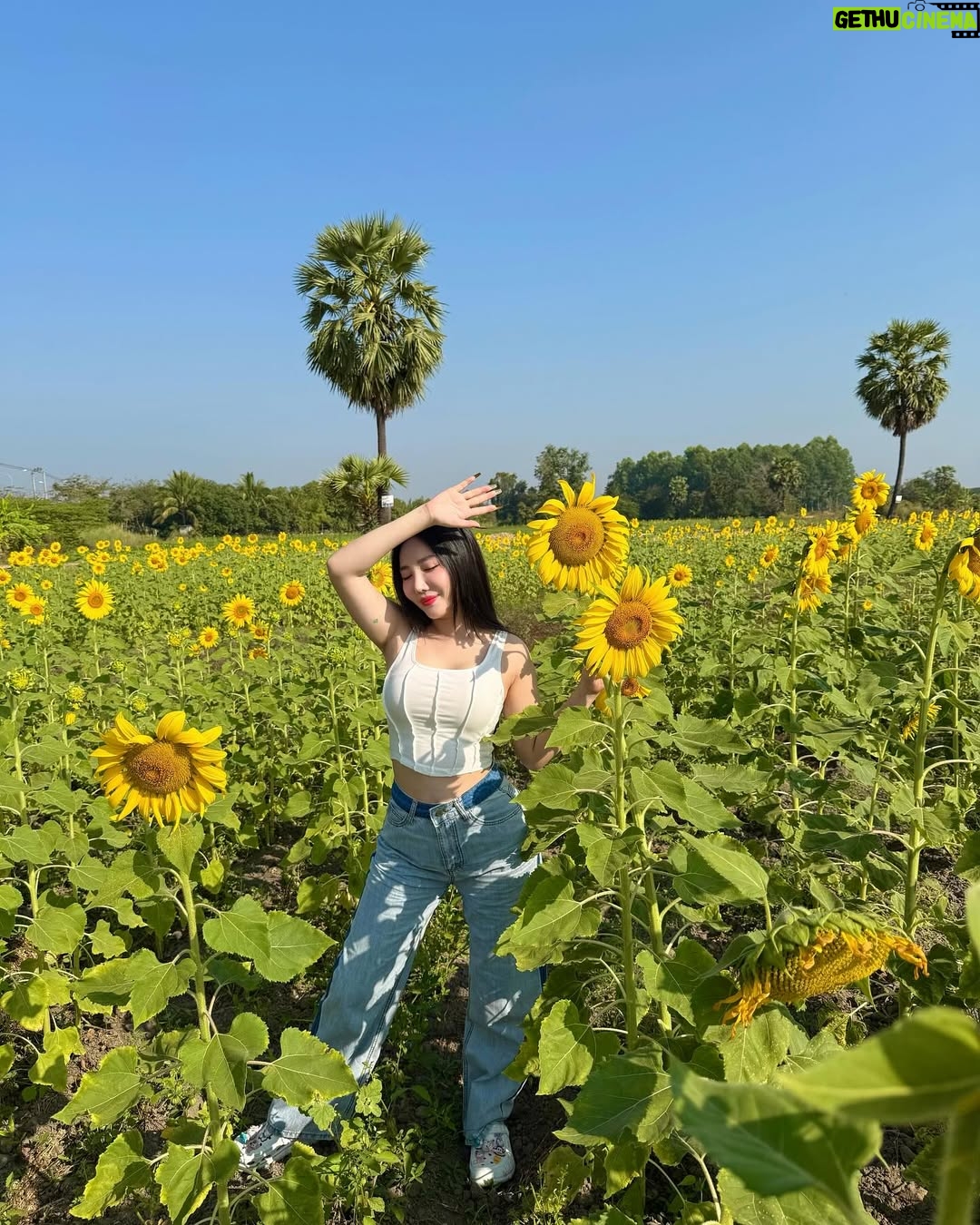 Hsu Eaint San - 3.3K Likes - မင်းရှိတဲ့အရပ်ကို မျက်နှာမူမယ့် နေကြာပန်းလေးပါ 🌻