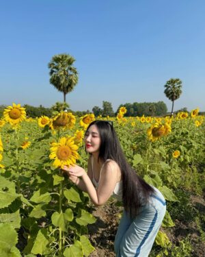 Hsu Eaint San Instagram - မင်းရှိတဲ့အရပ်ကို မျက်နှာမူမယ့် နေကြာပန်းလေးပါ 🌻