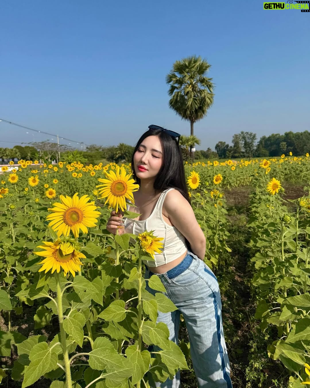 Hsu Eaint San - 3.3K Likes - မင်းရှိတဲ့အရပ်ကို မျက်နှာမူမယ့် နေကြာပန်းလေးပါ 🌻