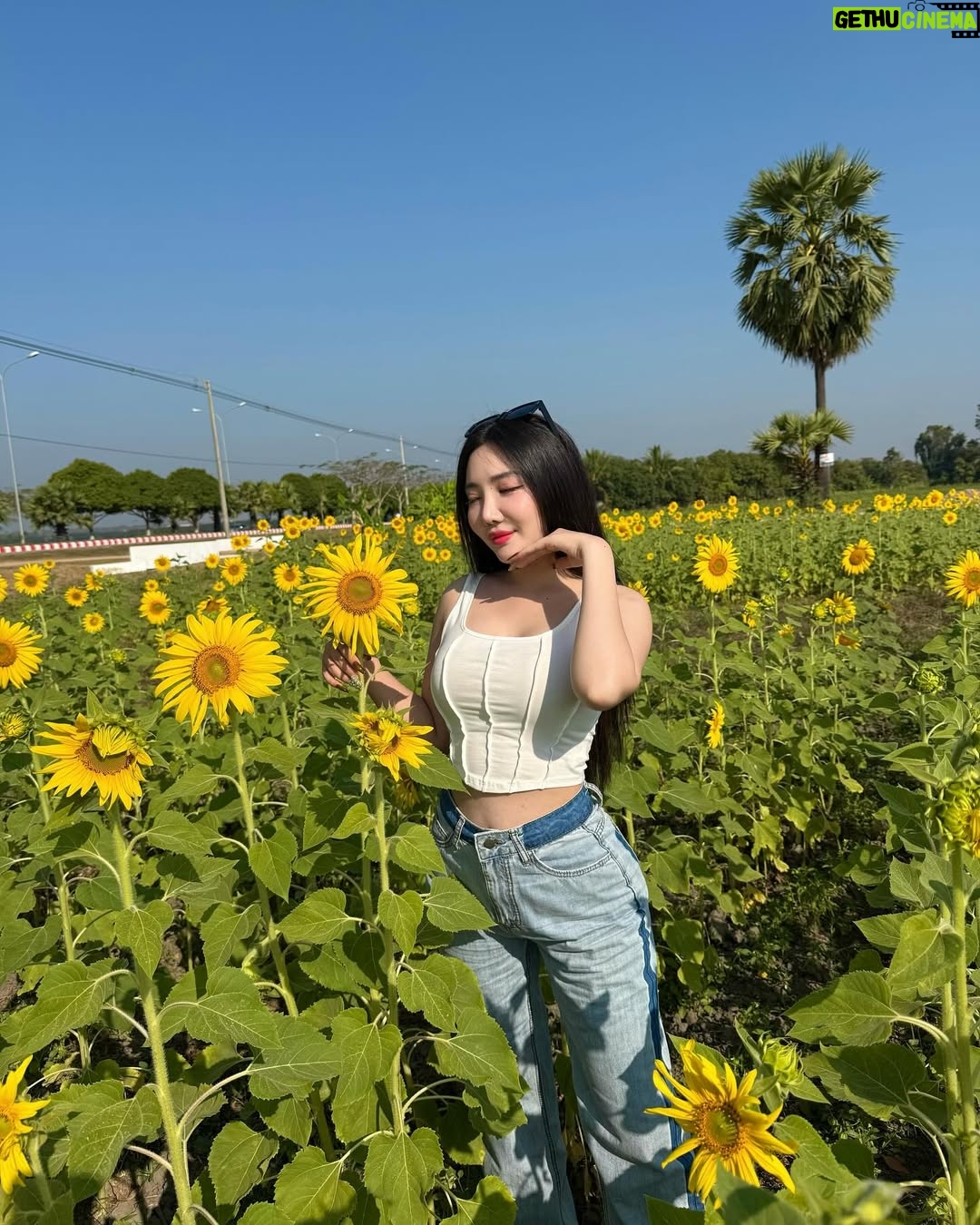 Hsu Eaint San - 3.3K Likes - မင်းရှိတဲ့အရပ်ကို မျက်နှာမူမယ့် နေကြာပန်းလေးပါ 🌻