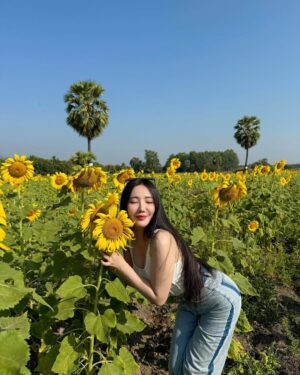 Hsu Eaint San Instagram - မင်းရှိတဲ့အရပ်ကို မျက်နှာမူမယ့် နေကြာပန်းလေးပါ 🌻