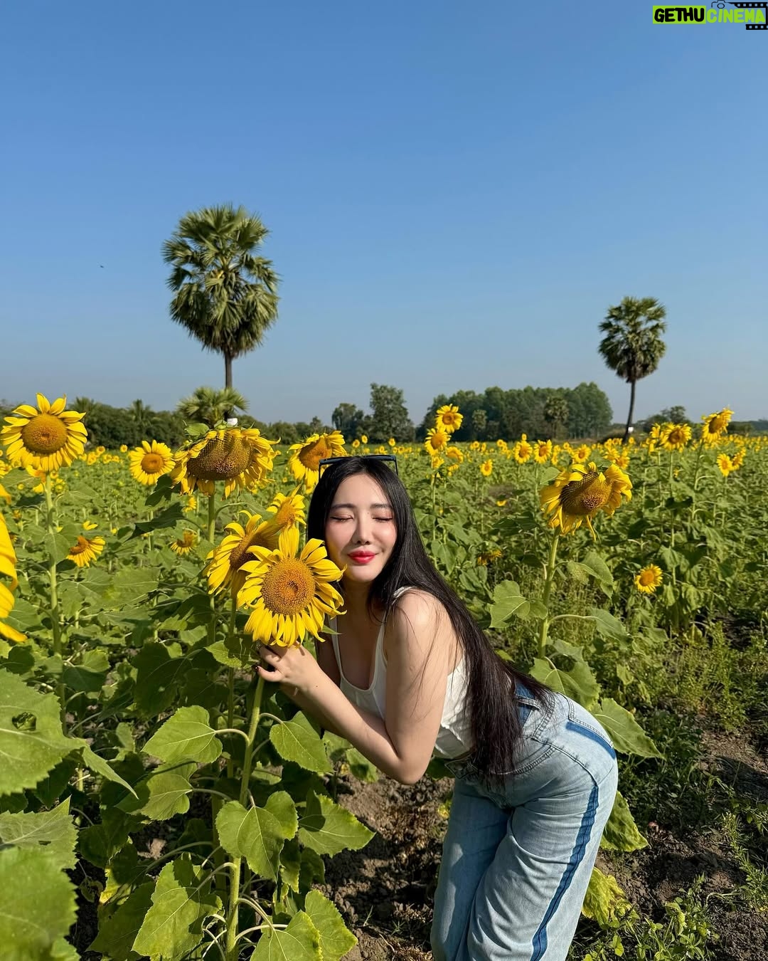 Hsu Eaint San - 3.3K Likes - မင်းရှိတဲ့အရပ်ကို မျက်နှာမူမယ့် နေကြာပန်းလေးပါ 🌻