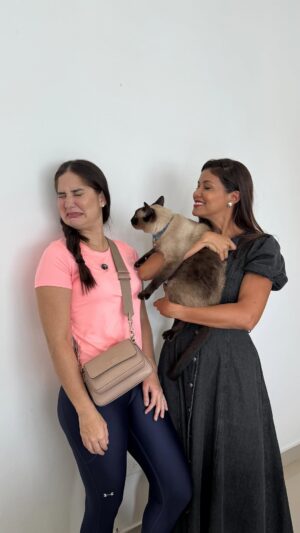 Iamdra Fermín Instagram - ~Ningún gato fue herido en la grabación de este video😅. @carrefourrd tiene un departamento SUPER COMPLETO para tu mascota, desde su comida hasta sus accesorios😁.