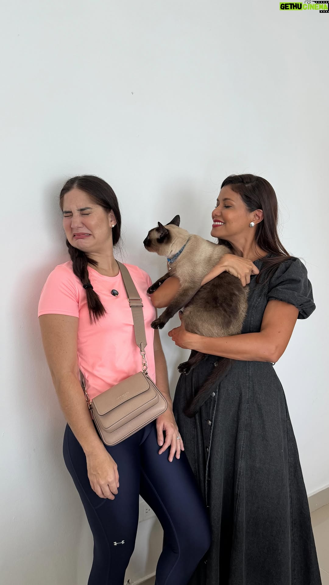 Iamdra Fermín - 12.1K Likes - ~Ningún gato fue herido en la grabación de este video😅. @carrefourrd tiene un departamento SUPER COMPLETO para tu mascota, desde su comida hasta sus accesorios😁.
