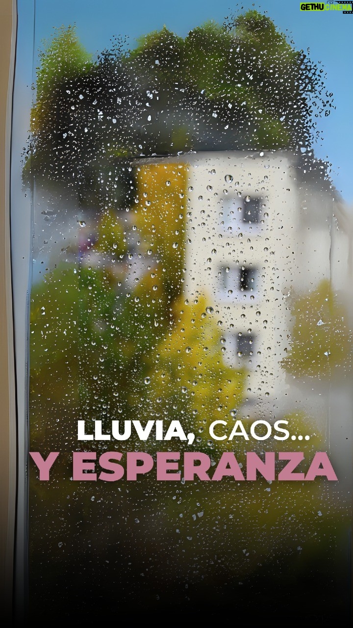 Ingrid Coronado - 802 Likes - 🌧️ Lluvia, caos… y esperanza

No todas las noticias son malas.
Solo que las buenas no hacen ruido.

Mientras algunos solo se quejan del caos en CDMX,
otros están limpiando coladeras, compartiendo recursos y sosteniendo al prójimo.
Sin cámaras. Sin reconocimiento.
Solo por amor a su ciudad.

✨ La verdadera noticia es esta:
Hay gente que, en lugar de hundirse con la tormenta… saca su balde y ayuda a otros a flotar.

📣 Hoy te invito a levantar la mirada.
Comparte historias que nos recuerden lo mejor de nosotros.
Porque el mundo no cambia solo con quejas,
sino con actos de esperanza.

💬 Escribe VOZ ALTA si quieres recibir más cápsulas que te reconecten con lo luminoso.
Y etiqueta a esa persona que siempre ayuda… incluso bajo la lluvia. ☔

#NoticiasEnVozAlta
#SíHayEsperanza
#CDMXSolidaria
#LoBuenoTambiénPasa
#MujerÓNRecomienda
#HistoriasQueSanan 💙