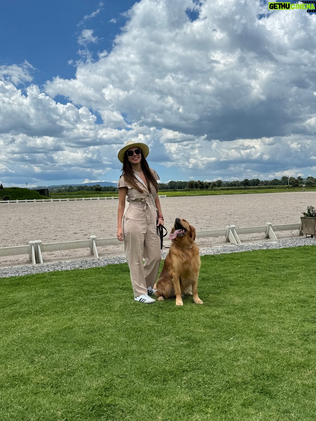 Ingrid Coronado - 9.8K Likes - Este día tengo el corazón roto... 

Nuestro guardián de cuatro patas, Jägger era nuestra adoración. Inesperadamente se fue... Y aunque el dolor es enorme, también nos dejó muchísimo amor. 

Hoy mi columna en El Universal está dedicada a él. A su “sit” tierno, a su lealtad infinita y al último acto de amor que nos regaló.

Si alguna vez perdiste a un ser querido, humano o animal, cuéntame en comentarios cómo lo viviste. 💌
Tu historia puede acompañar a otro corazón que hoy necesita consuelo.

📰 Léela completa en el periódico El Universal.
#ElGuardiánQueSeFuePrimero #GraciasJägger #AmorQueSigueCuidando #ElUniversal #SoyMujerÓN