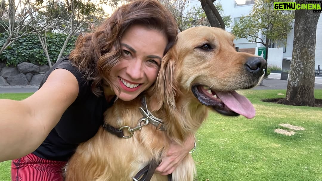 Ingrid Coronado - 9.8K Likes - Este día tengo el corazón roto... 

Nuestro guardián de cuatro patas, Jägger era nuestra adoración. Inesperadamente se fue... Y aunque el dolor es enorme, también nos dejó muchísimo amor. 

Hoy mi columna en El Universal está dedicada a él. A su “sit” tierno, a su lealtad infinita y al último acto de amor que nos regaló.

Si alguna vez perdiste a un ser querido, humano o animal, cuéntame en comentarios cómo lo viviste. 💌
Tu historia puede acompañar a otro corazón que hoy necesita consuelo.

📰 Léela completa en el periódico El Universal.
#ElGuardiánQueSeFuePrimero #GraciasJägger #AmorQueSigueCuidando #ElUniversal #SoyMujerÓN