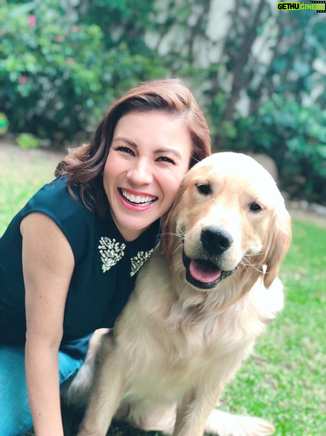 Ingrid Coronado - 9.8K Likes - Este día tengo el corazón roto... 

Nuestro guardián de cuatro patas, Jägger era nuestra adoración. Inesperadamente se fue... Y aunque el dolor es enorme, también nos dejó muchísimo amor. 

Hoy mi columna en El Universal está dedicada a él. A su “sit” tierno, a su lealtad infinita y al último acto de amor que nos regaló.

Si alguna vez perdiste a un ser querido, humano o animal, cuéntame en comentarios cómo lo viviste. 💌
Tu historia puede acompañar a otro corazón que hoy necesita consuelo.

📰 Léela completa en el periódico El Universal.
#ElGuardiánQueSeFuePrimero #GraciasJägger #AmorQueSigueCuidando #ElUniversal #SoyMujerÓN