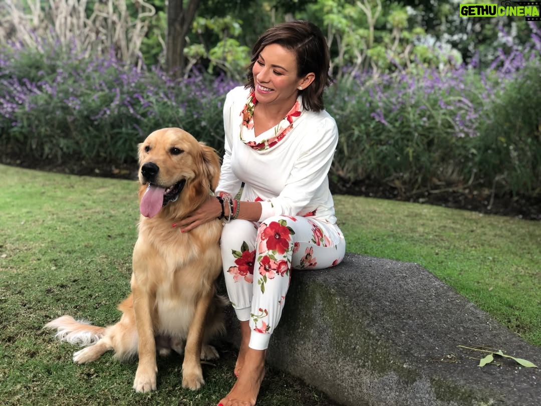 Ingrid Coronado - 9.8K Likes - Este día tengo el corazón roto... 

Nuestro guardián de cuatro patas, Jägger era nuestra adoración. Inesperadamente se fue... Y aunque el dolor es enorme, también nos dejó muchísimo amor. 

Hoy mi columna en El Universal está dedicada a él. A su “sit” tierno, a su lealtad infinita y al último acto de amor que nos regaló.

Si alguna vez perdiste a un ser querido, humano o animal, cuéntame en comentarios cómo lo viviste. 💌
Tu historia puede acompañar a otro corazón que hoy necesita consuelo.

📰 Léela completa en el periódico El Universal.
#ElGuardiánQueSeFuePrimero #GraciasJägger #AmorQueSigueCuidando #ElUniversal #SoyMujerÓN