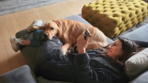 Ingrid Coronado Instagram - Este día tengo el corazón roto...
Nuestro guardián de cuatro patas, Jägger era nuestra adoración. Inesperadamente se fue... Y aunque el dolor es enorme, también nos dejó muchísimo amor.
Hoy mi columna en El Universal está dedicada a él. A su “sit” tierno, a su lealtad infinita y al último acto de amor que nos regaló.
Si alguna vez perdiste a un ser querido, humano o animal, cuéntame en comentarios cómo lo viviste. 💌
Tu historia puede acompañar a otro corazón que hoy necesita consuelo.
📰 Léela completa en el periódico El Universal.
#ElGuardiánQueSeFuePrimero #GraciasJägger #AmorQueSigueCuidando #ElUniversal #SoyMujerÓN