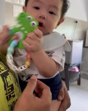 Intan Ladyana Instagram - Customized Dinosaur teether from @teether_joy 🥰🥰🥰