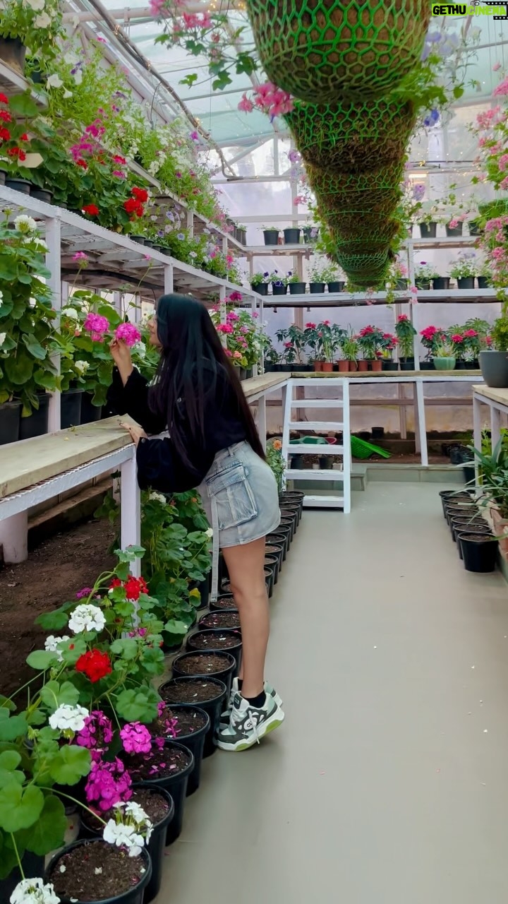 Ishu Kashyap - 20.2K Likes - Meherabaan 💐🌸🌻🌹✨🫶🏻
.
.
.
.
.
.
.
#explore #instagram #trendingreels #reelkarofeelkaro