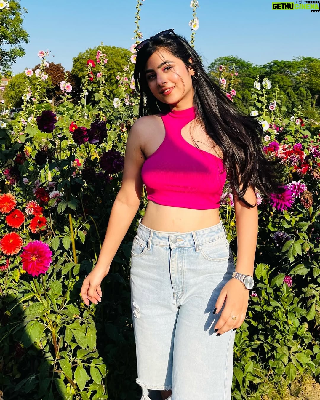 Ishu Kashyap - 9.9K Likes - 🌸

#explorepage #instagood #trending #photooftheday #photographylovers #naturelovers #flowers #picoftheday #fyp #trend